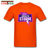 Fortnite Survive The Storm Logo